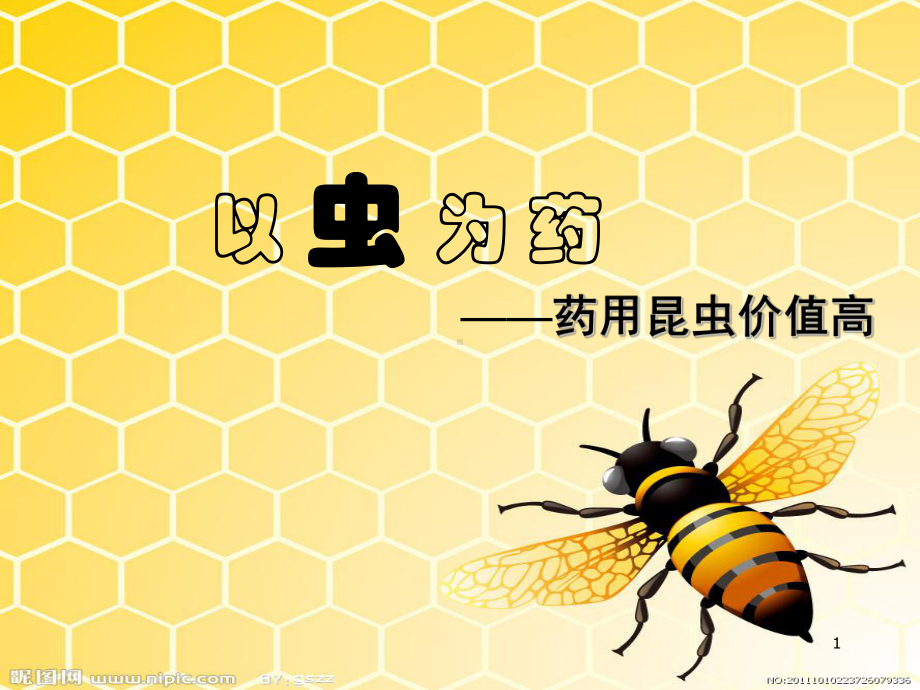 以虫为药教学课件.ppt_第1页