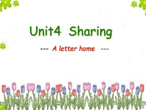 人教英语选修7Unit4-A-letter-home-reading-(共17张)课件.ppt--（课件中不含音视频）