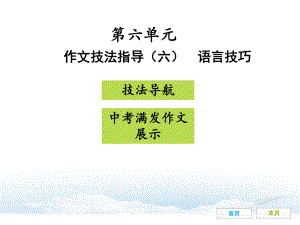 作文技法指导(六)-语言技巧课件.ppt