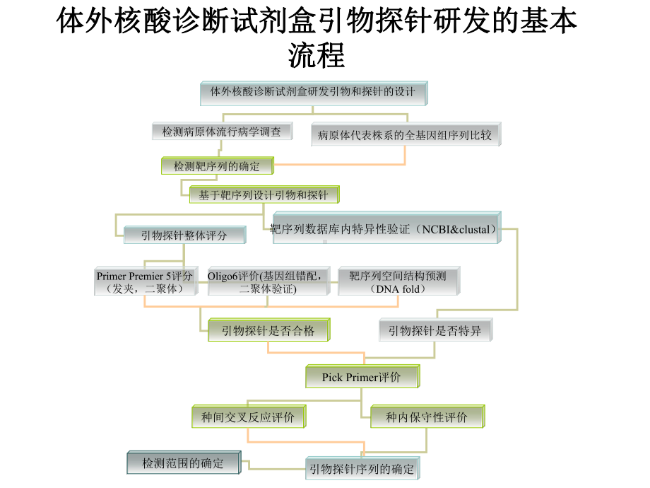 体外核酸诊断试剂盒引物探针研发的基本流程概要课件.ppt_第1页