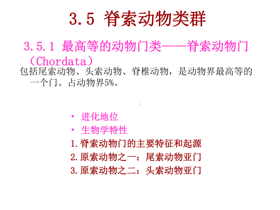 动物生物学352脊索动物门和圆口纲课件.ppt_第1页