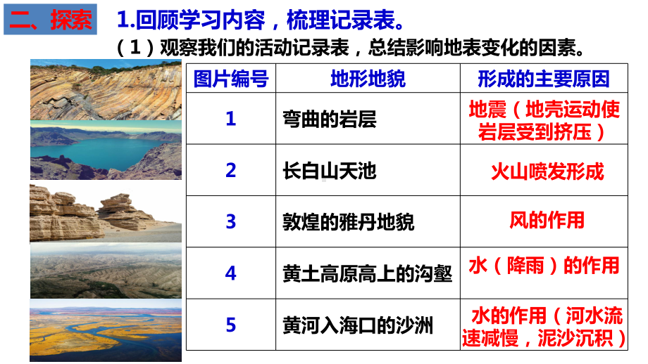 教科版五年级上科学2.7总结我们的认识教学课件.pptx_第3页