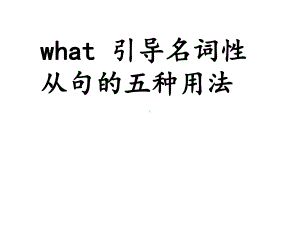 what引导名词性从句的用法课件.ppt