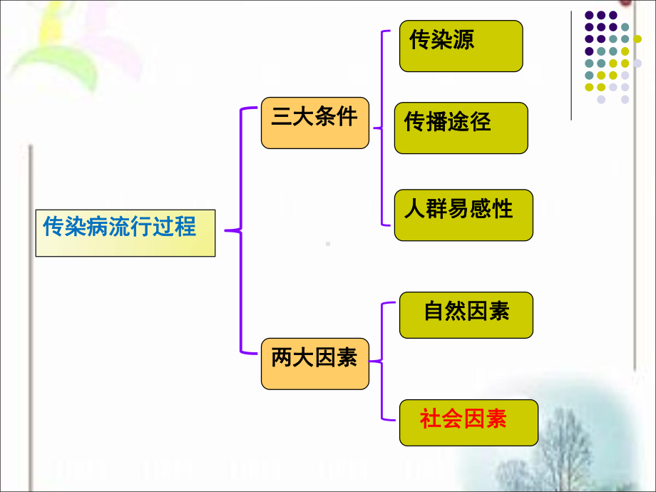 传染病病人的护理护士执照培训课件.ppt_第3页