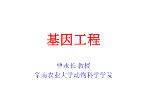 基因工程导论课件.ppt