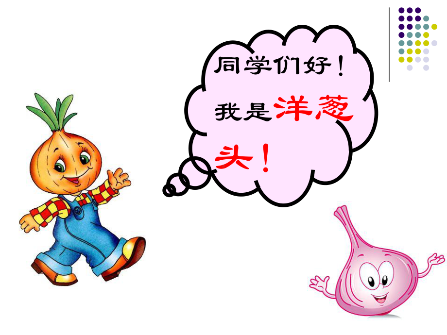 《洋葱头历险记-》阅读推荐课课件.ppt_第3页