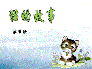 《猫的故事》课件.pptx