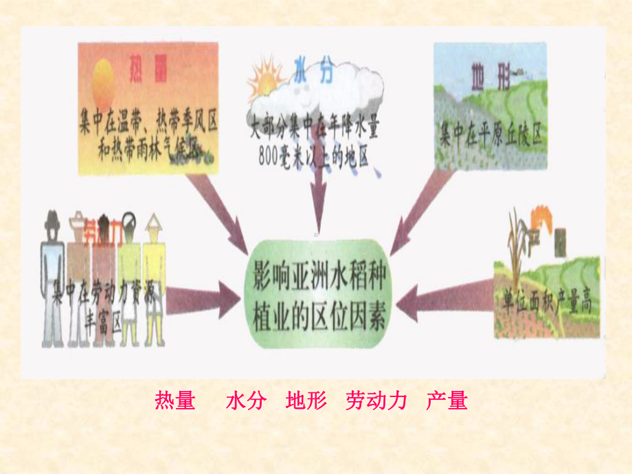 世界主要农业地域类型课件-2.ppt_第3页