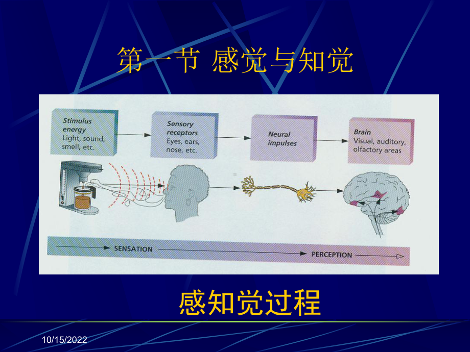 医学心理学课程-第三章-认知过程课件.ppt_第3页