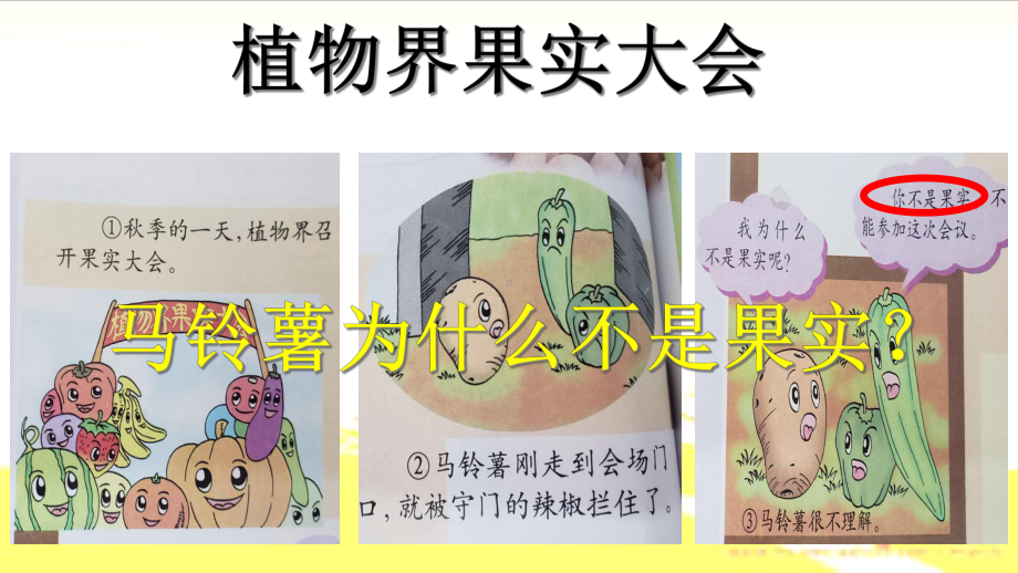 《果实累累的季节》大象版)课件.ppt_第2页