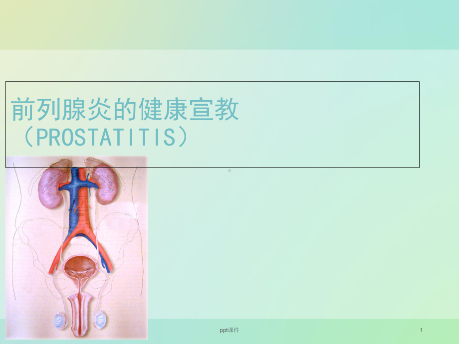 前列腺炎患者健康宣教-课件.ppt_第1页