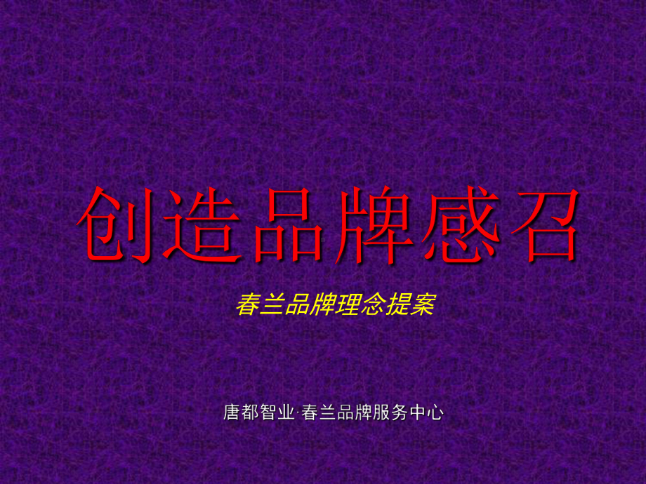 创造品牌感召-品牌理念提案课件.ppt_第1页