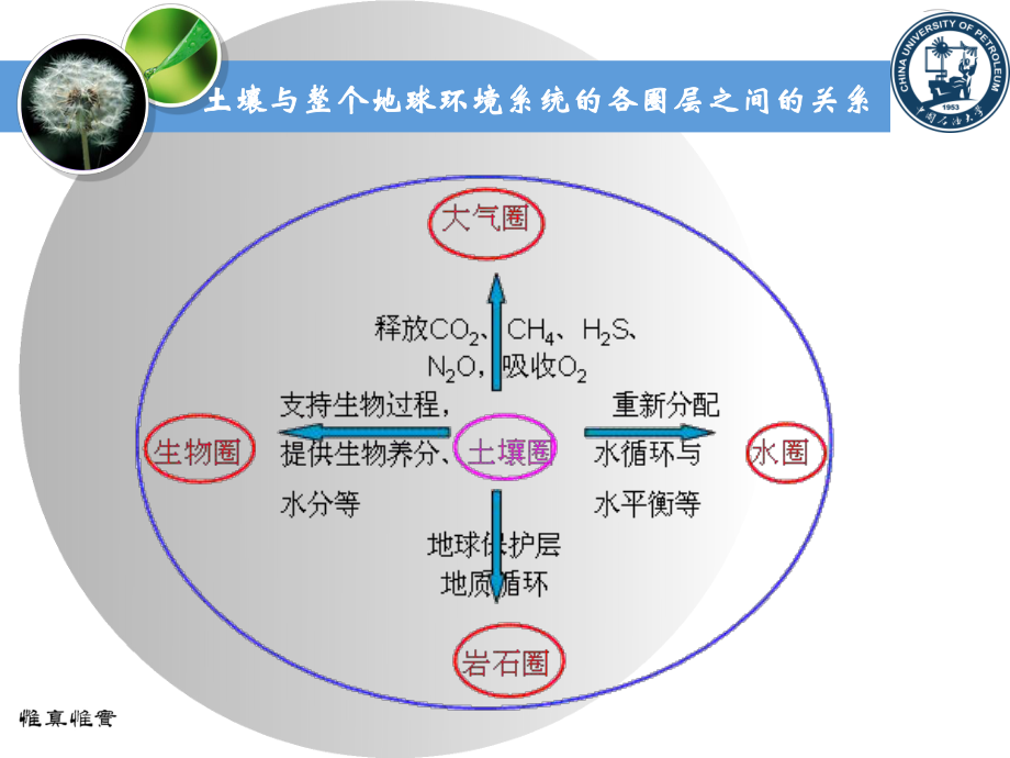 土壤的组成和性质课件.ppt_第2页