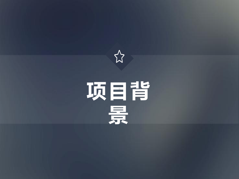 大创中期报告课件.ppt_第3页