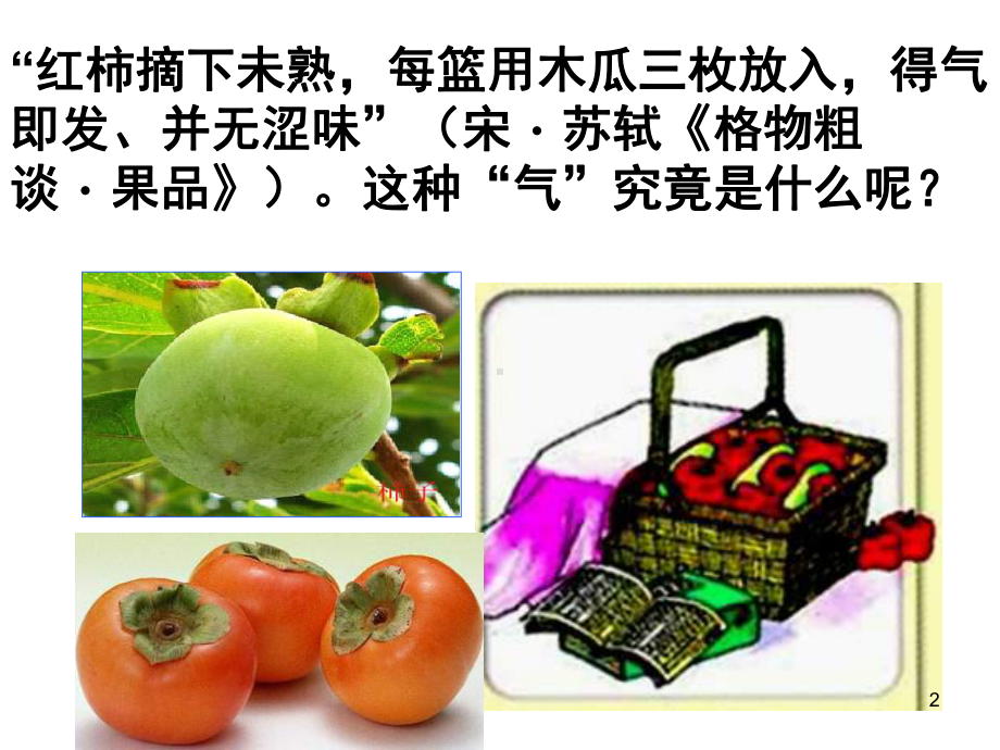 其他植物激素的作用教学课件.ppt_第2页