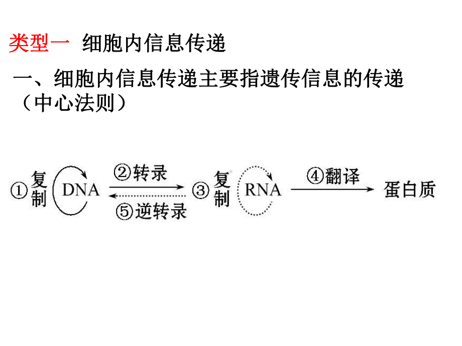 人教版高中生物必修3第5章复习(共32张)课件.ppt_第3页