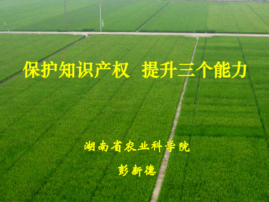 农业植物新品种权的申请与保护课件.ppt_第1页