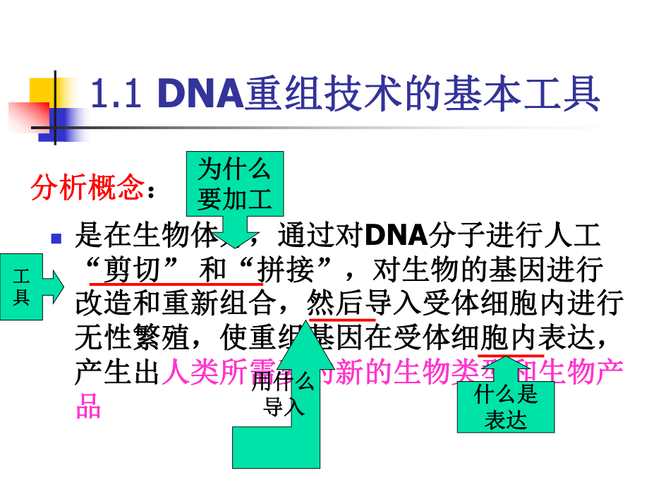 专题1基因工程课件1.ppt_第3页