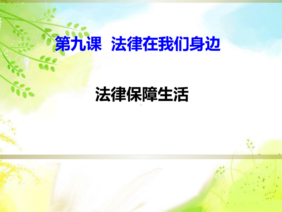 《法律保障生活》课件9.ppt_第1页