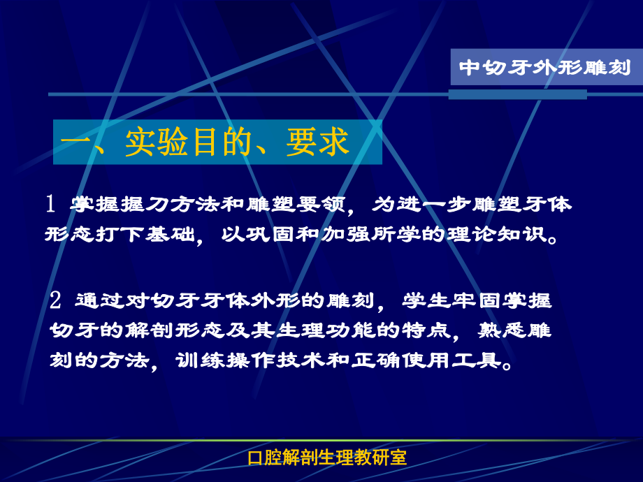 口腔解剖生理教研室汇总课件.ppt_第2页