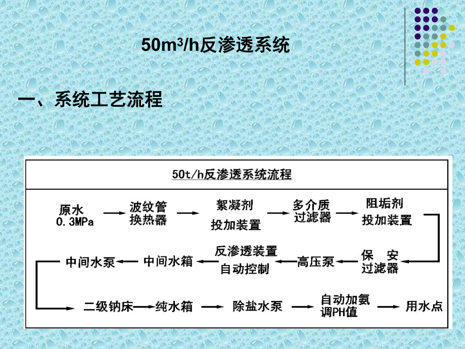 反渗透系统工艺流程培训(31张)课件.ppt_第2页