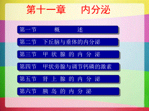 内分泌系统(生理)课件.ppt