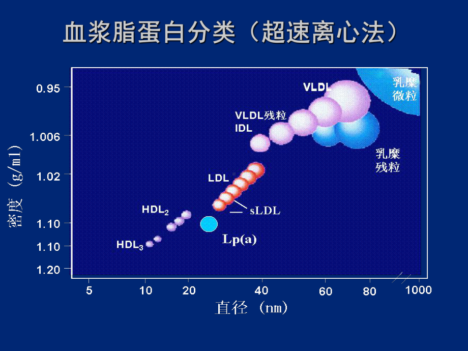 动脉粥样硬化进展及指南LGP2分解课件.ppt_第3页