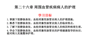 周围血管疾病病人的护理课件.pptx