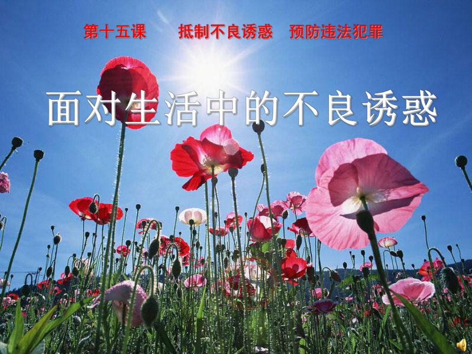 《面对生活中的不良诱惑》课件.ppt_第1页