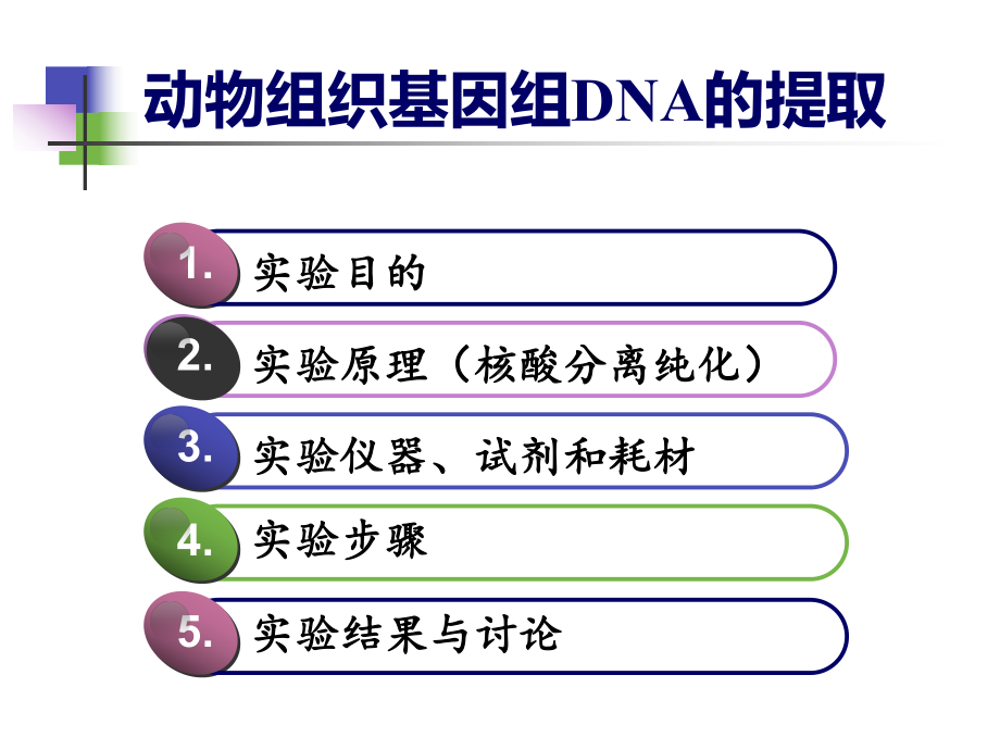 动物组织基因组DNA的提取概要课件.ppt_第2页