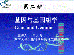 基因与基因组学课件.ppt