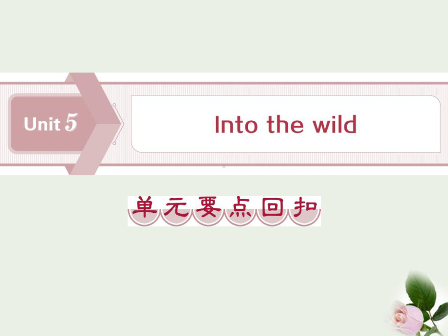 《Into-the-wild》单元要点回扣-课件.pptx_第1页