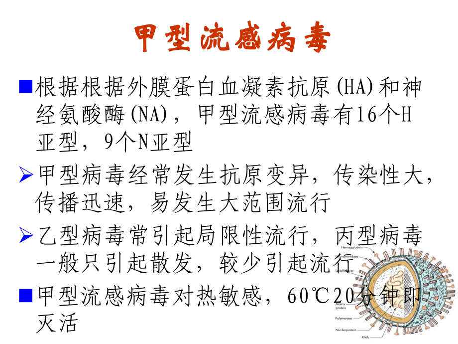 （主题班会-安全教育篇）甲型H1N1流感防控主题班会课件.ppt_第3页