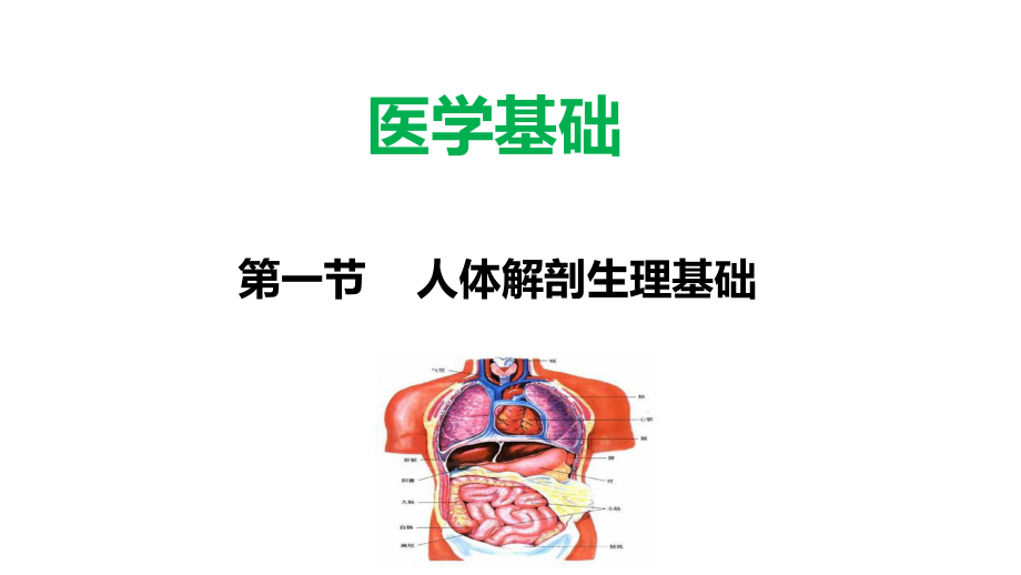 公共营养师课(医学基础)课件.ppt_第1页