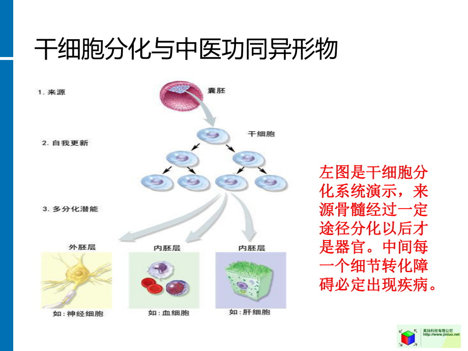 偶尔高烧或低烧和未分化结缔组织病课件.ppt_第2页