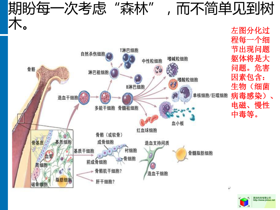 偶尔高烧或低烧和未分化结缔组织病课件.ppt_第3页