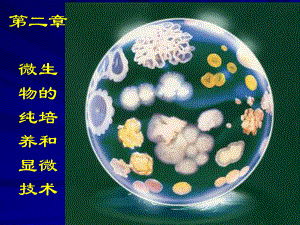 北工大微生物学第2章课件.ppt