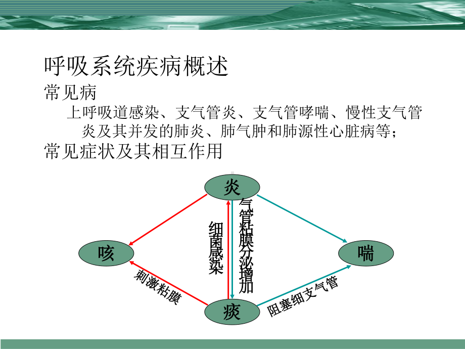 呼吸系统疾病用药-课件.ppt_第2页