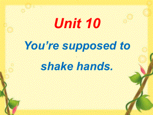 《You-are-supposed-to-shake-hands》精选教学优质课件3.pptx