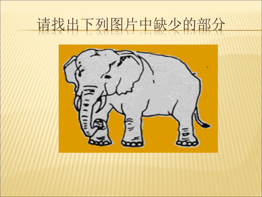 儿童观察力的训练课件.ppt_第3页