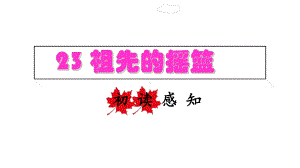 《祖先的摇篮》课件优秀版.ppt