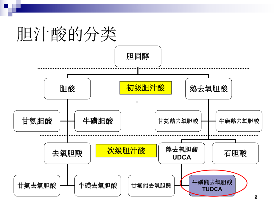 一代胆酸类药物-滔罗特(TUDCA)医学课件.ppt_第2页