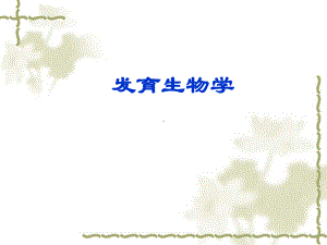 发育生物学课件.ppt