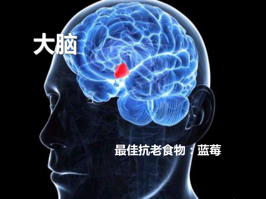 各大器官最爱的抗衰老食物课件.ppt_第3页