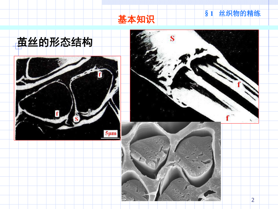 丝织物的精练工艺技术(-37张)课件.ppt_第2页