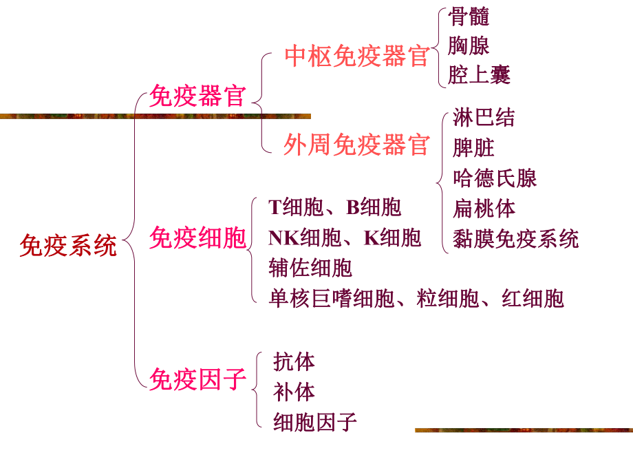 免疫程序的科学制定课件.ppt_第3页