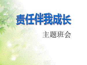 《责任伴我成长》课件.pptx