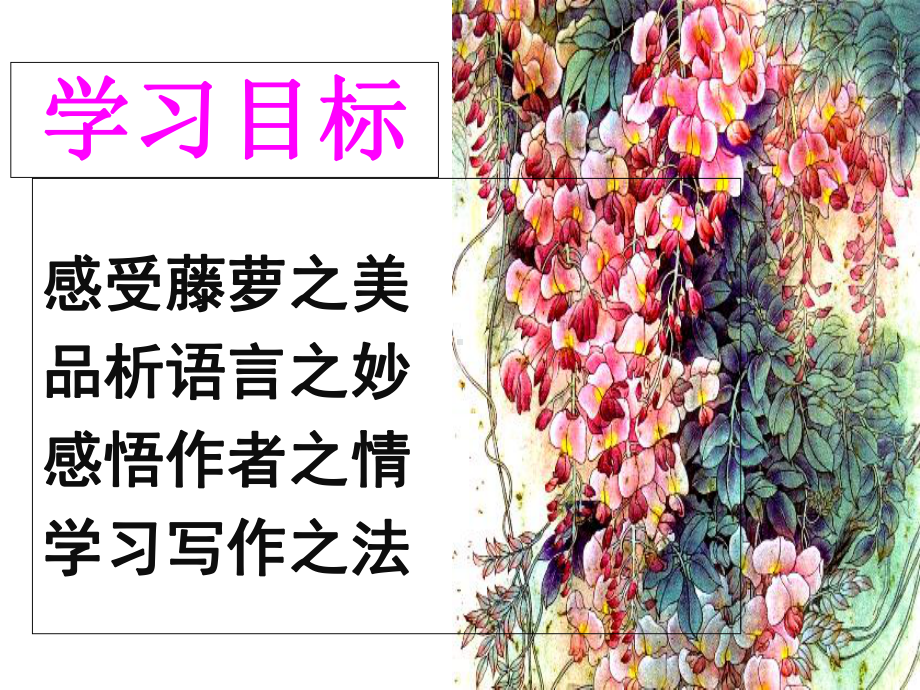 《紫藤萝瀑布》-（公开课-教学-课件）初中语文.ppt_第3页