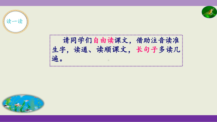 《小虾》完美课件(共12张).ppt_第3页