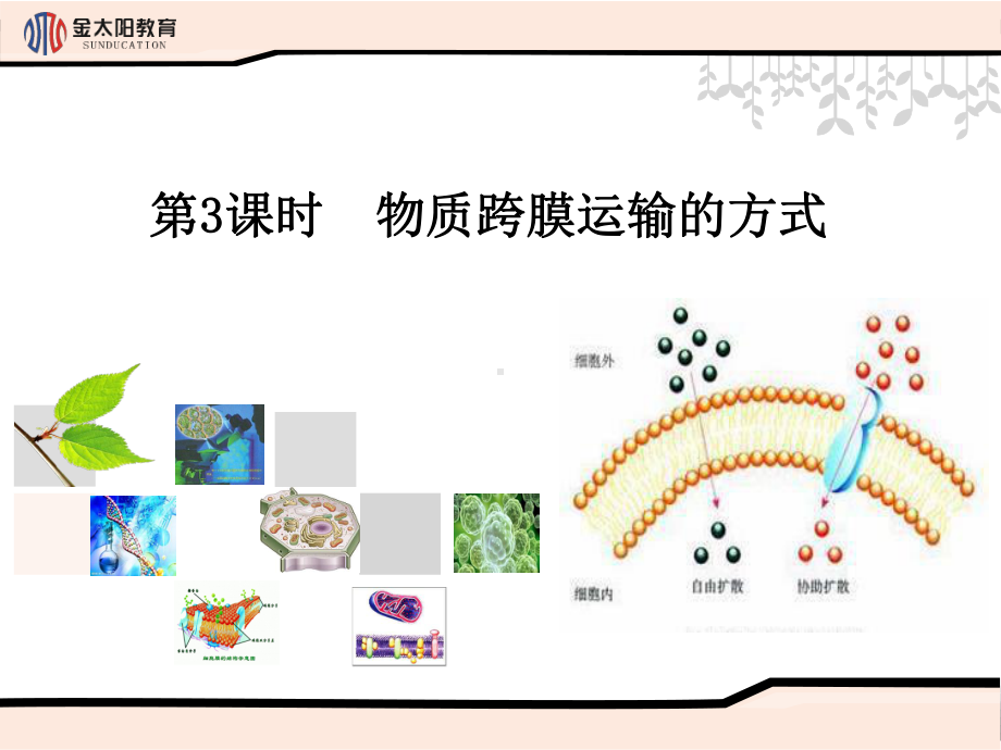 《物质跨膜运输的方式》导学案课件.ppt_第1页